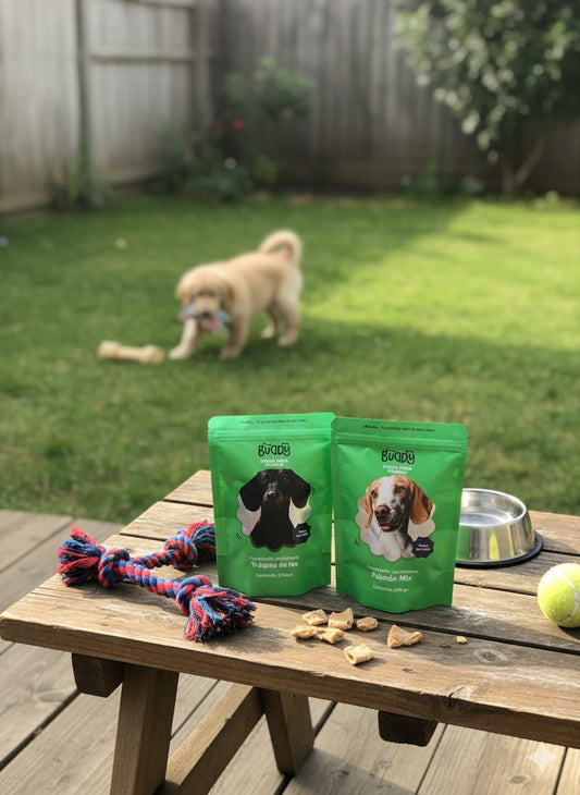 SNACK PARA PERRO